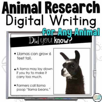 Preview of Animal Research Project Writing Report Activity Template Google Slides Resource