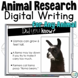 Animal Research Project Writing Report Activity Template G