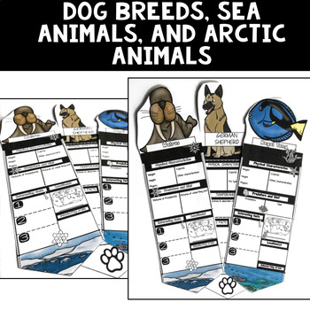 Animal Report Template | Research Poster Writing Template | Bundle