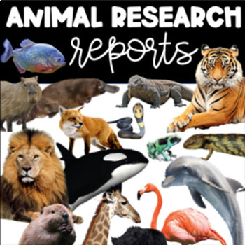 Preview of Animal Research Report | 3rd grade 4th grade 5th grade