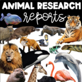 Animal Research Report | 3rd grade 4th grade 5th grade