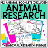 Animal Research | Animal Reports and Templates | Bundle
