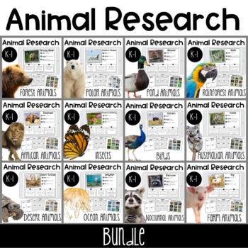 Preview of Animal Research Report Bundle