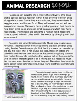 Animal Research Report | 3rd grade 4th grade 5th grade by Kaylynn's Place