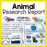 Animal Research Report Worksheets and Graphic Organizers