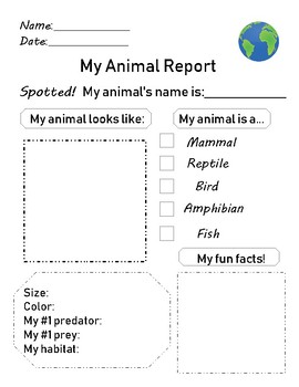 Animal Reports 1st Grade Teaching Resources | TPT