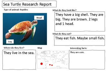 Preview of Animal Research Report template sheet