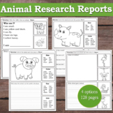 Animal Research Reports /  Animal Riddles, Projects (Zoo F