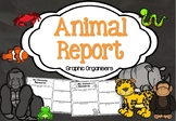 Animal Research Graphic Organizer