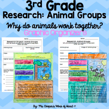 Animal Groups Research: Why Some Animal Groups Work Together | TPT
