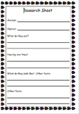Animal Research and Fact File Sheet
