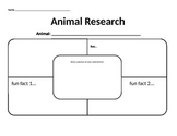 animal research project graphic organizer