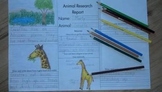 Animal Research report