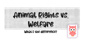 Preview of Animal Rights Vs. Welfare: What's the Difference?
