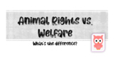 Animal Rights Vs. Welfare: What's the Difference?