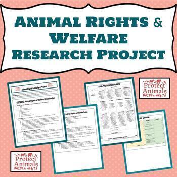 Preview of Animal Rights & Welfare Research Project