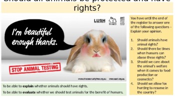 Preview of Animal Rights - should animals have rights?