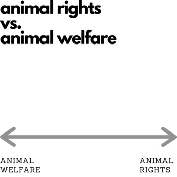 Preview of Animal Rights vs. Welfare Scale