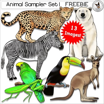 Preview of Animal Realistic Clip Art Bird Insect Jaguar Kangaroo Polar Bear Toucan Zebra