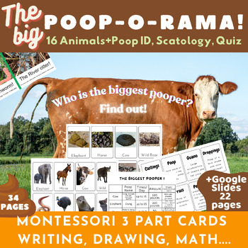 Preview of Animal Scat ID/Animal Poop/Montessori Cards/Math+Writing/Slides/Scatology