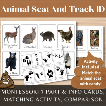 Preview of Animal Scat + Track ID/Montessori 3 Part + Info Cards/Poop and Candy Matching