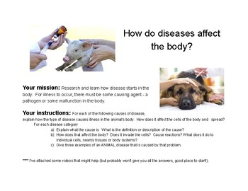 Preview of Animal Science/Agriculture/Health-Disease effects on the body-worksheet, videos