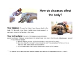 Animal Science/Agriculture/Health-Disease effects on the b