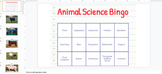 Animal Science Breed I.D. Bingo (randomized pictures with 