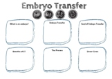 Animal Science Embryo Transfer Graphic Organizer