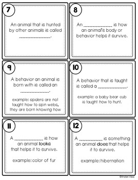 Animal SCOOT Game | Task Cards | Adaptations, Food Chains and Habitats