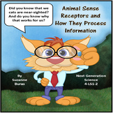 Animal Sense Receptors and How They Process Information: N