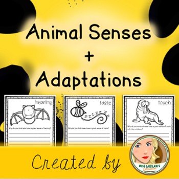 Preview of Animal Senses (Adaptations) - Infer and Research
