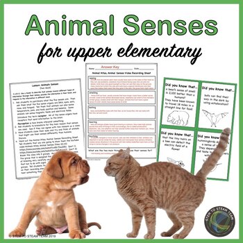 Animal Senses: An NGSS Aligned Lesson by Science and STEAM Team | TPT