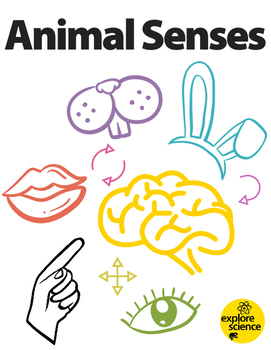 Five Senses In Animals