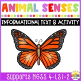 Animal Senses Informational Text and Activity {Covers NGSS
