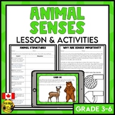 Animal Senses Lesson and Activities | Living Systems