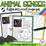 Animal Senses NGSS 4-LS1-2 Science Differentiated Reading 