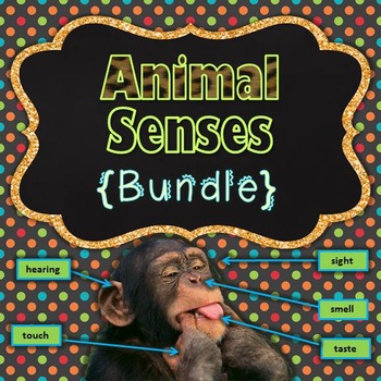 Preview of Animal Senses {Presentation & Guided Notes}