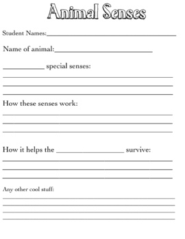 Preview of Animal Senses Research Outline