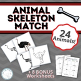 Animal Skeleton Matching Cards and Worksheets