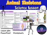 Animal Skeletons: A Fun and Engaging Science Lesson for Gr