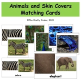 Animal Skin Covering matching cards