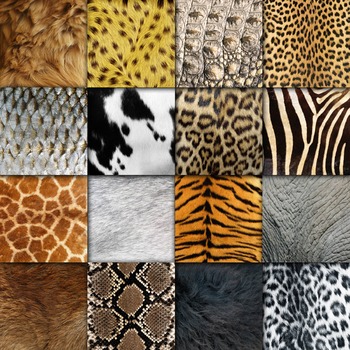 Animal Skin Textures - Digital Paper Pack - 16 Different Papers - 12inx12in