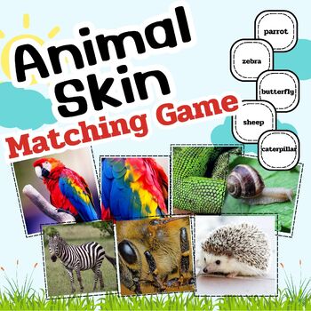 Preview of Animal Skin, feater, fur for matching game and Flashcards with words