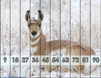 https://ecdn.teacherspayteachers.com/thumbitem/Animal-Skip-Counting-Animal-Puzzles-Count-by-2-3-4-5-6-7-8-9-and-10-2049558-1659020058/original-2049558-2.jpg