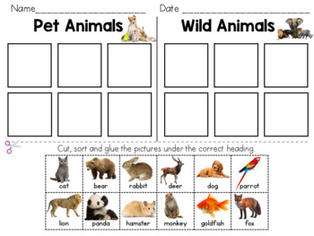 Preview of Animal Sort