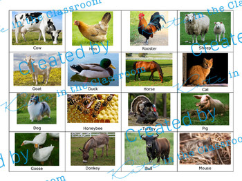 Preview of Animal Sort Cards- Farm, Ocean, Jungle, Desert