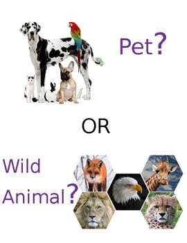 Pet Or Wild Animal Teaching Resources | TPT