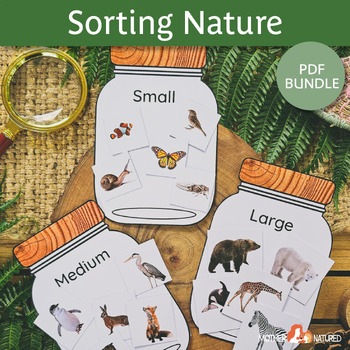 Preview of Animal Sorting Activity | Nature Sorting Activity | Outdoor math Activity |