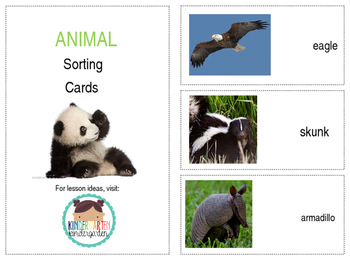 Preview of Animal Sorting Cards